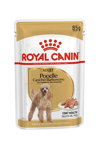 Royal Canin Poodle Adult in Soße Hundefutter nass für Pudel