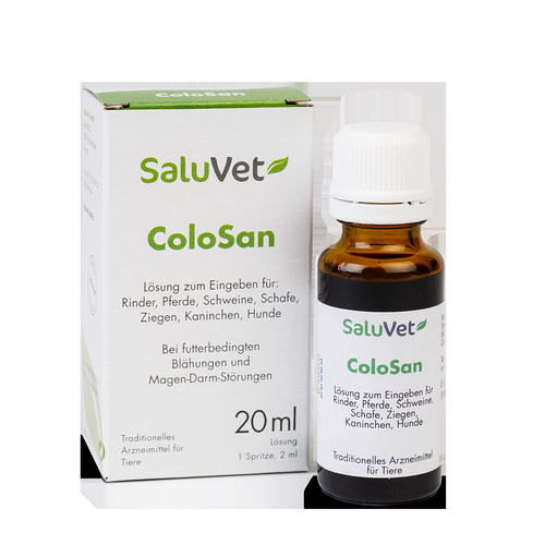 ColoSan bei futterbedingten Blähungen von Saluvet ColoSan bei futterbedingten Blähungen von Saluvet