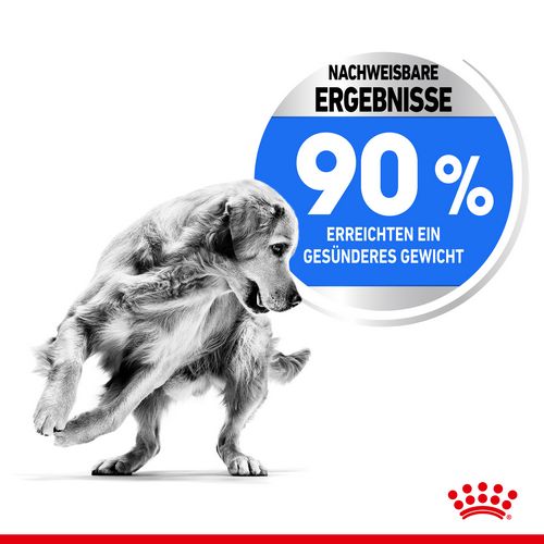 Royal Canin LIGHT WEIGHT CARE MAXI Trockenfutter für zu Übergewicht neigenden Hunden 12 kg