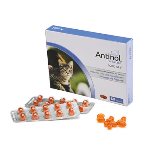 Antinol für Katzen zur Unterstützung des Gelenkstoffwechsels bei Osteoarthritis von Selectavet 60 Tabletten