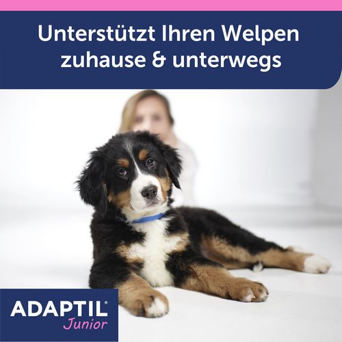 ADAPTIL Junior Halsband - Anti Stress Erziehungshalsband für Hundewelpen