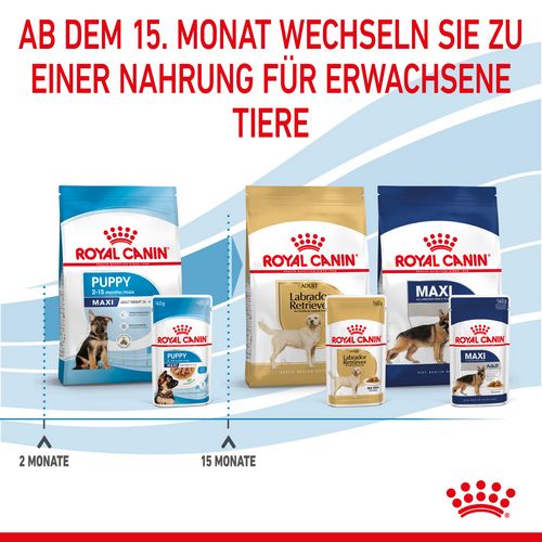 Royal Canin MAXI PUPPY Welpenfutter Nass für große Hunde 10 x 140 g