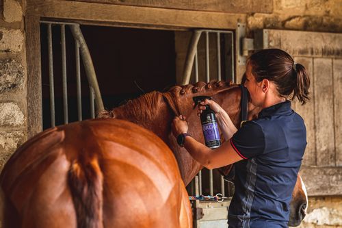 Carr Day Martin - DREAMCOAT - 500 ml