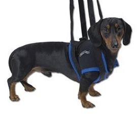 Gehhilfe für Hunde vorne