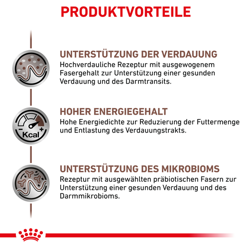 Royal Canin GASTROINTESTINAL Trockenfutter Vorteile