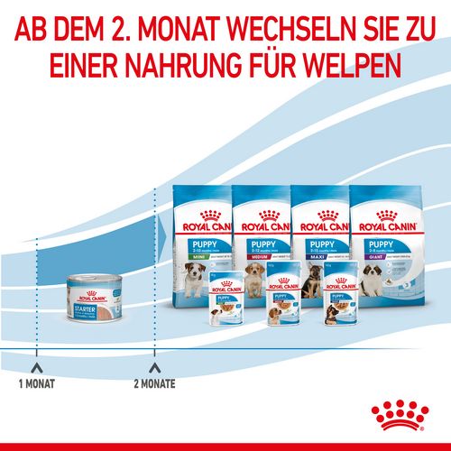 Royal Canin Starter Mousse Mother & Babydog Welpenfutter nass für tragende Hündinnen und Welpen kleiner Rassen von der 2. - 8. Woche 12 x 195 g