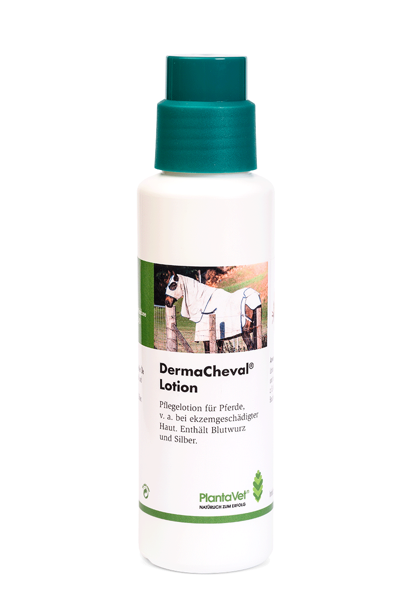 DermaCheval Lotion von PlantaVet