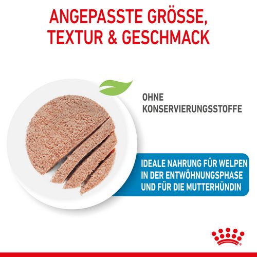 Royal Canin Starter Mousse Mother & Babydog Welpenfutter nass für tragende Hündinnen und Welpen kleiner Rassen von der 2. - 8. Woche 12 x 195 g