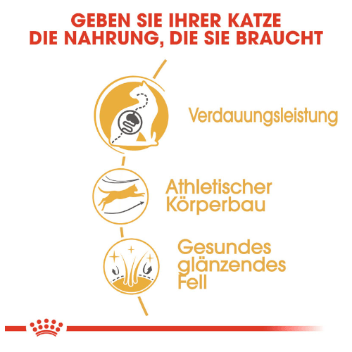 Royal Canin Bengal Adult Katzenfutter trocken  Inhalt