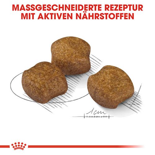 Royal Canin DENTAL CARE MEDIUM Trockenfutter  Kroketten