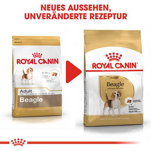 Royal Canin Beagle Adult Hundefutter trocken