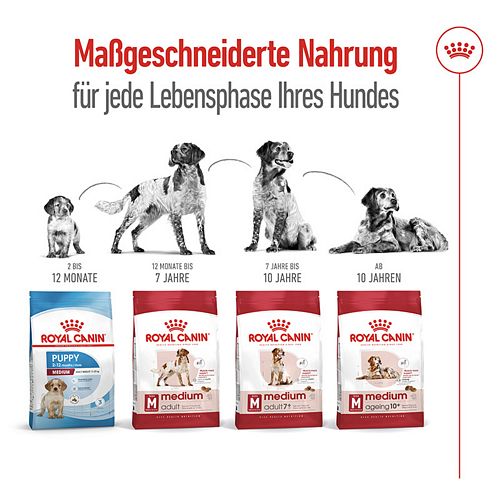 Royal Canin MEDIUM Adult 7+ Trockenfutter für ältere mittelgroße Hunde 4kg