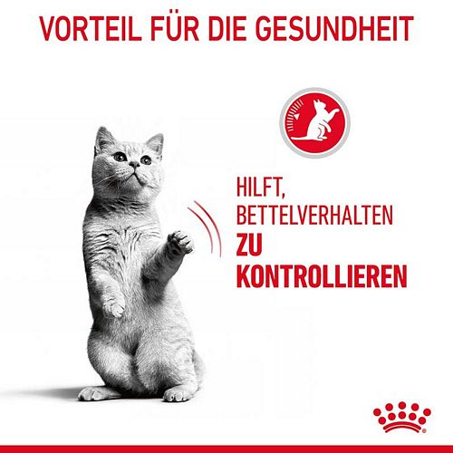 Royal Canin Appetite Control Sterilised Trockenfutter für Katzen