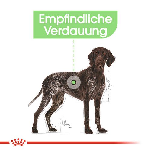Royal Canin DIGESTIVE CARE MAXI Trockenfutter für große Hunde mit empfindlicher Verdauung