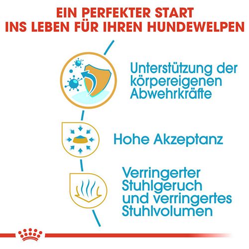 Royal Canin Chihuahua Puppy Welpenfutter trocken Vorteile