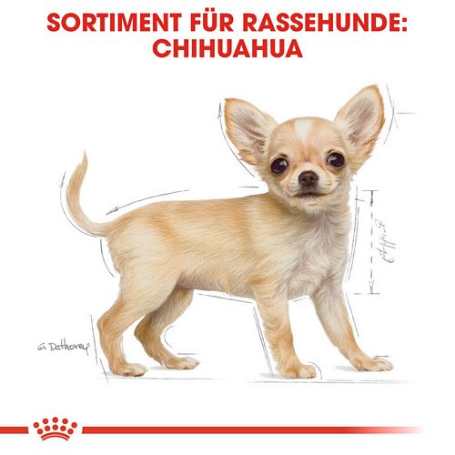 Royal Canin Chihuahua Puppy Welpenfutter trocken