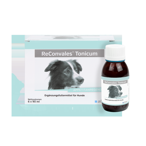 alfavet ReConvales Tonicum - HUND - VOLLE VE - 6 x 90 ml alfavet ReConvales Tonicum - HUND - VOLLE VE - 6 x 90 ml