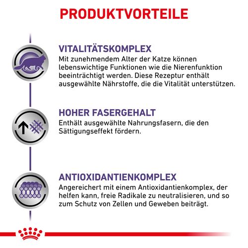 Royal Canin Expert MATURE CONSULT BALANCE Trockenfutter für Katzen