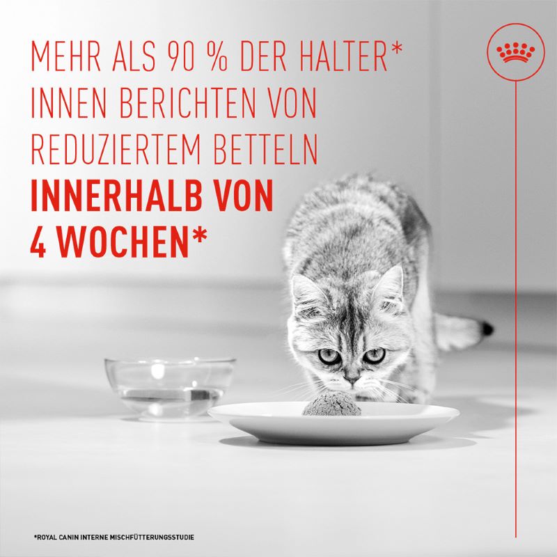 Royal Canin - APPETITE CONTROL AIRLIFT Loaf - Nassfutter KATZE