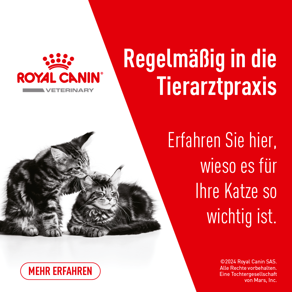 Regelmäßig in die Tierarztpraxis