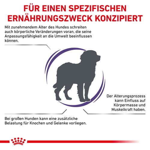 Royal Canin Expert MATURE CONSULT LARGE DOGS Trockenfutter für Hunde 14 kg