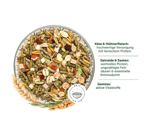 Bunny - FarbmausTraum