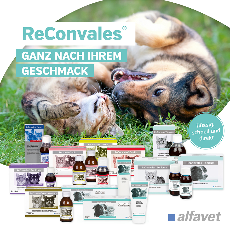 alfavet ReConvales Mobile alfavet ReConvales Mobile