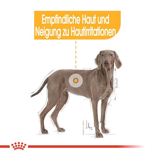 Royal Canin DERMACOMFORT MAXI Trockenfutter für große Hunde mit empfindlicher Haut