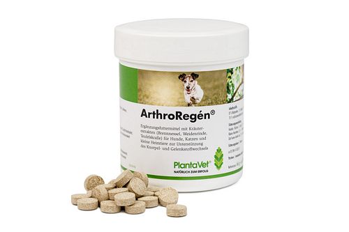 ArthroRegén Tabletten bei Gelenkproblemen von PlantaVet - 300 Tabletten