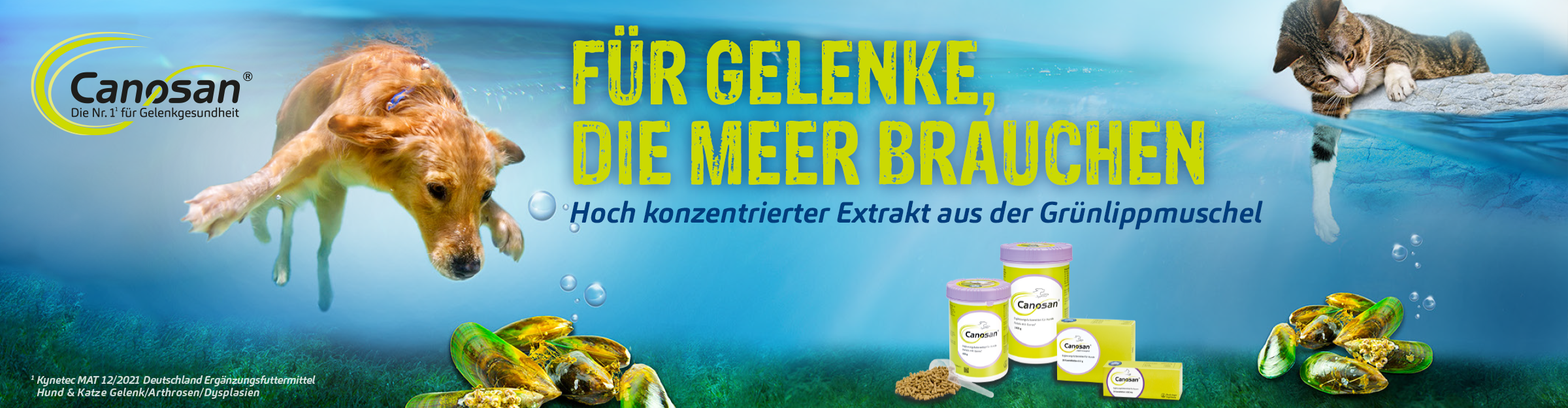 Für Gelenke die Meer brauchen Für Gelenke die Meer brauchen
