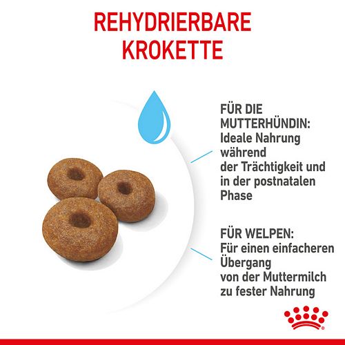 Royal Canin MAXI Starter für tragende Hündin und Welpen großer Rassen Kroketten