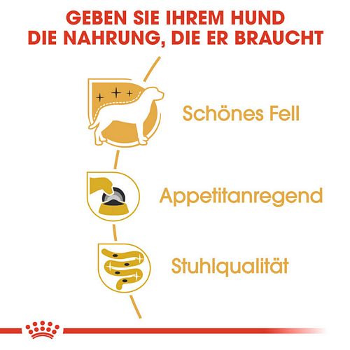 Royal Canin Yorkshire Terrier Adult Nassfutter Vorteile