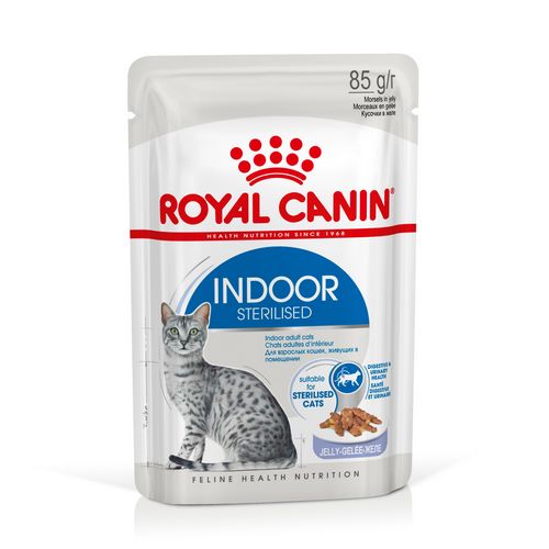 Royal Canin INDOOR Sterilised in Gelee Nassfutter für Wohnungskatzen