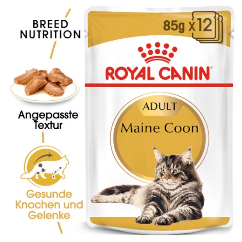 Royal Canin Maine Coon Adult Katzenfutter nass