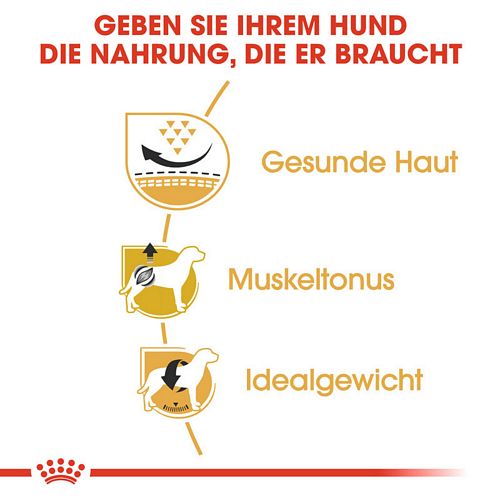 Royal Canin Pug Adult Trockenfutter für Hunde