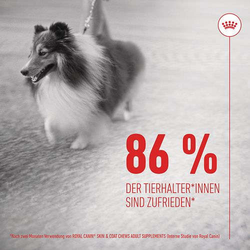 Royal Canin - SKIN & COAT CHEWS ADULT SUPPLEMENTS - 1 x 240 g