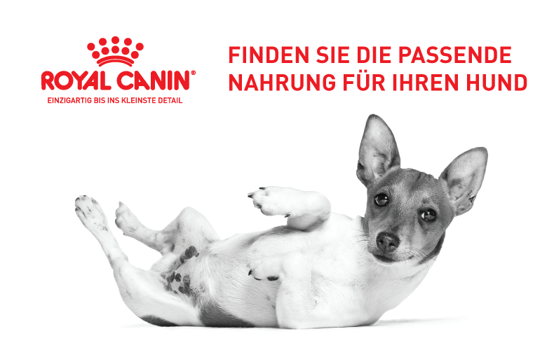 Royal Canin Finden Sie die passende Nahrung für Ihren Hund Royal Canin Finden Sie die passende Nahrung für Ihren Hund