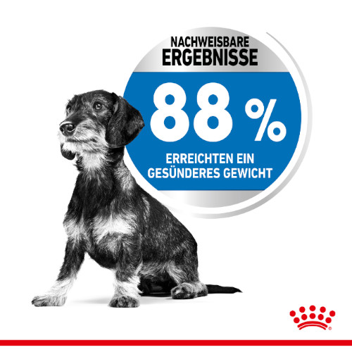 Royal Canin LIGHT WEIGHT CARE Nassfutter für Hunde mit Neigung zu Übergewicht