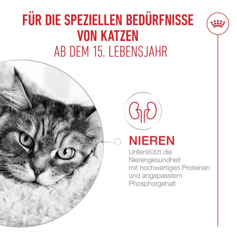 Royal Canin - AGEING 15+ AIRLIFT Loaf - Nassfutter KATZE