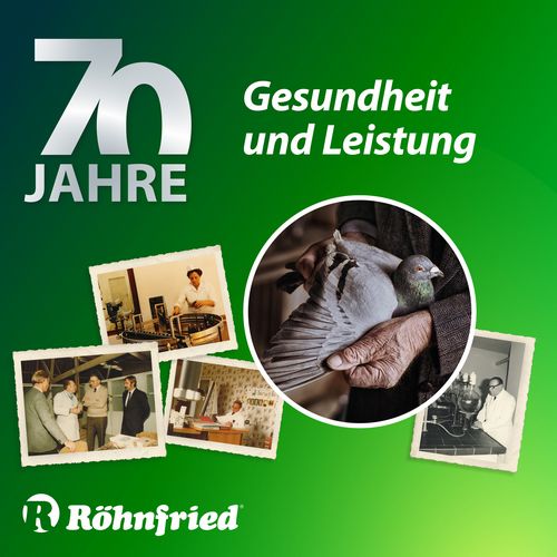 Röhnfried - KRÄUTER-GEMÜSE-MIX - 500 g