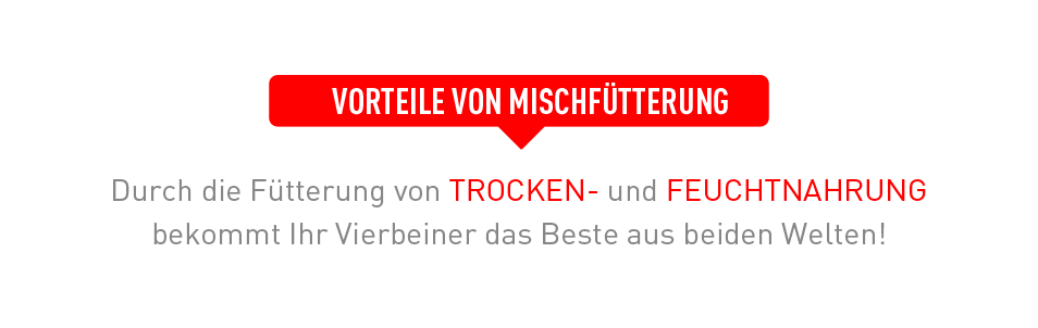 Royal Canin Mischfütterung Vorteile (2) Royal Canin Mischfütterung Vorteile (2)
