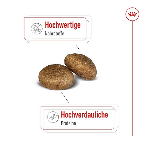 Royal Canin MAXI Adult Trockenfutter für große Hunde Kroketten
