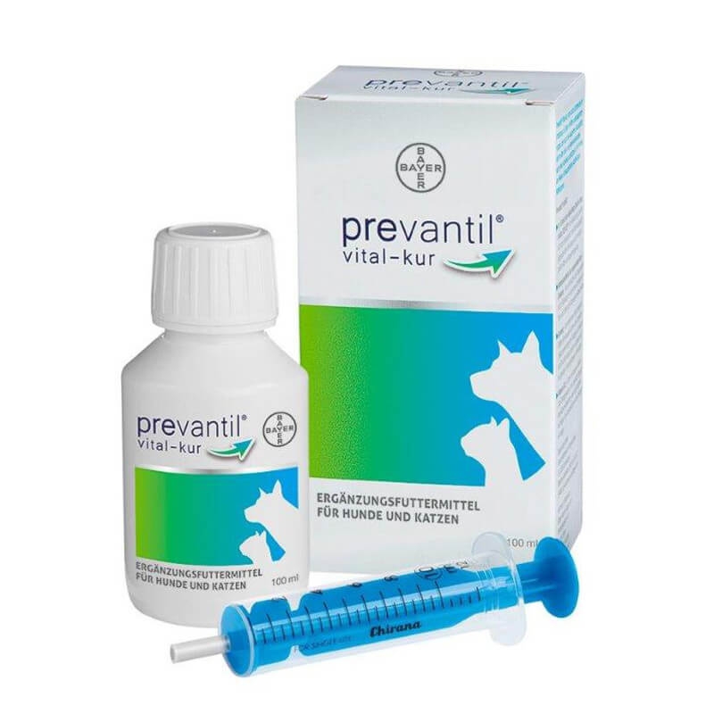 Prevantil Vital-Kur