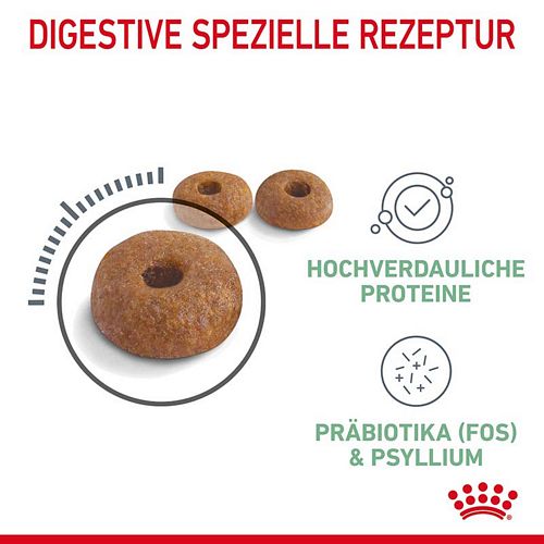 Royal Canin Digestive Care Trockenfutter für Katzen mit empfindlicher Verdauung