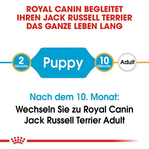 Royal Canin Jack Russell Terrier Puppy Welpenfutter trocken Lebenphasen