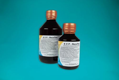 VeyFo AVP-RecoTon von Veyx-Pharma 250 ml