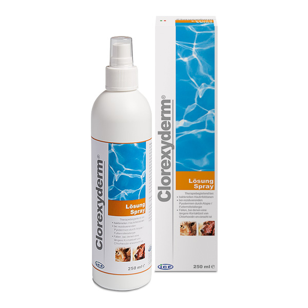 iCF Clorexyderm Lösung für Hunde und Katzen - Sprayflasche - 250 ml