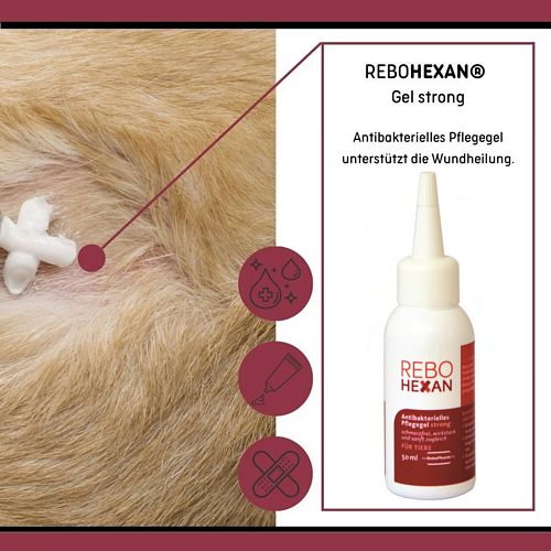 reboVet - ReboHexan - ANTIBAKTERIELLES PFLEGEGEL - STRONG - 50 ml