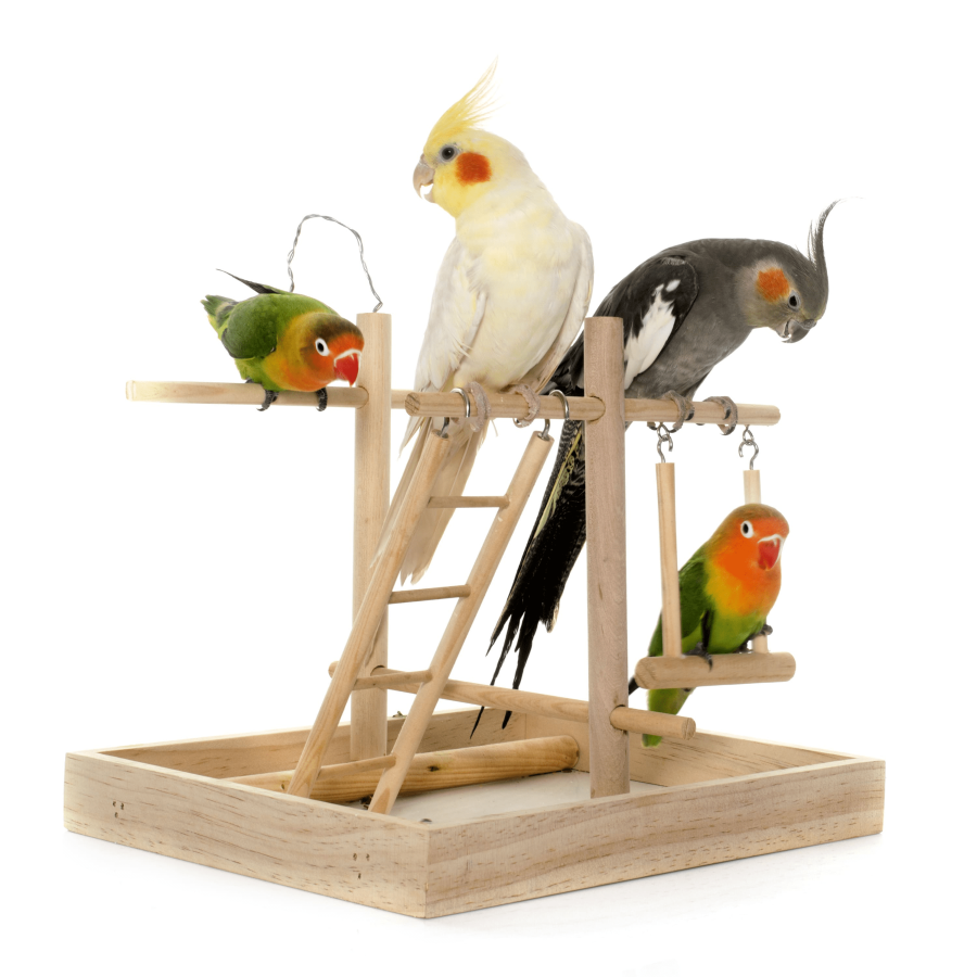Vogelbedarf Vogelbedarf