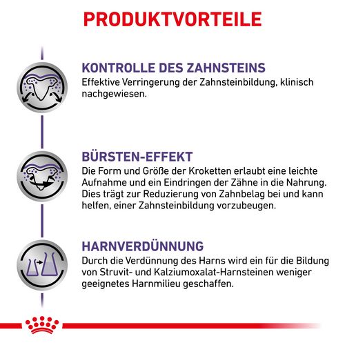 Royal Canin Expert DENTAL SMALL DOGS Trockenfutter Vorteile